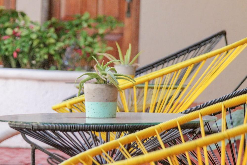 Hotel Villas San Ignacio ปลายาเดลการ์เมน ภายนอก รูปภาพ